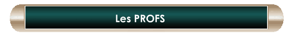 Les PROFS